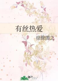 有丝热爱by徐徐图之讲的什么