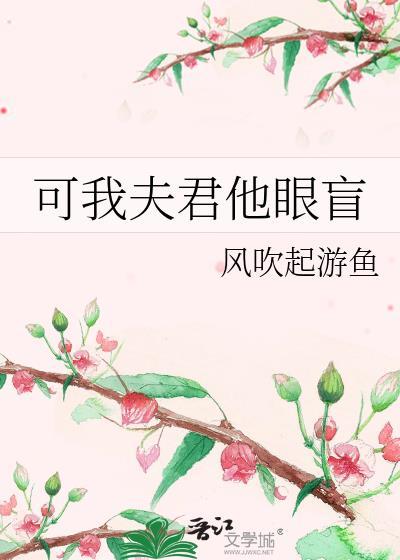 可我夫君他眼盲讲的什么