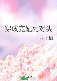 穿成宠妃之子番外