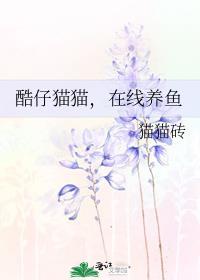 酷酷小猫图片