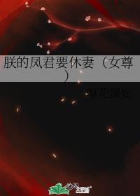 朕的凤君要休妻女尊全文免费阅读