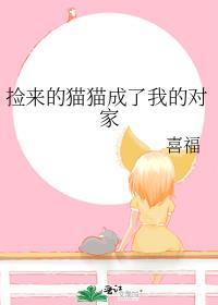 捡来的猫猫成了我的对家喜福