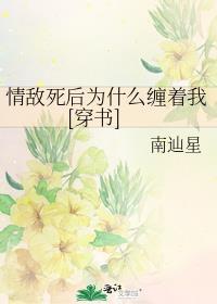 情敌cettiderry