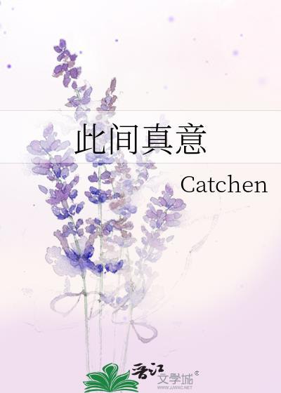 此中有真意真意意思