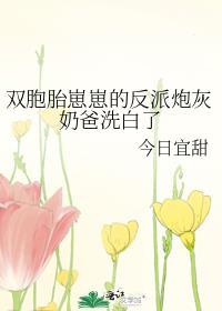 帝师攻略晏云酌