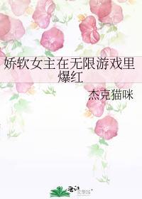 娇娇软软的的女主