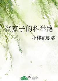 贫家子的科举路 小桂花婆婆