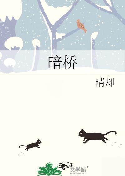 暗桥by晴却百度