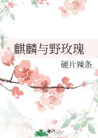 麒麟与野玫瑰全文免费阅读