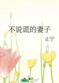 不说谎的妻子最后结局