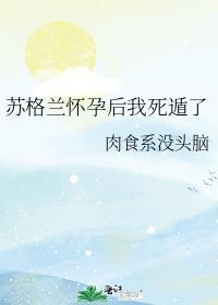 苏格兰怀孕后我死遁了免费阅读
