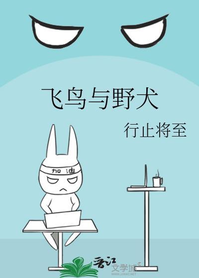 飞鸟与野犬作者行止将至