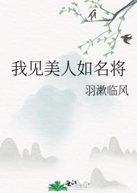 我见美人如名将txt资源