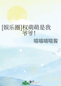 权宠小萌妻免费阅读全文