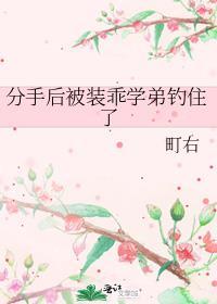 分手后被装乖学弟钓住了+番外