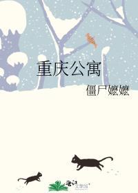重庆公寓改民用水电
