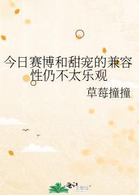 很赛博是什么意思