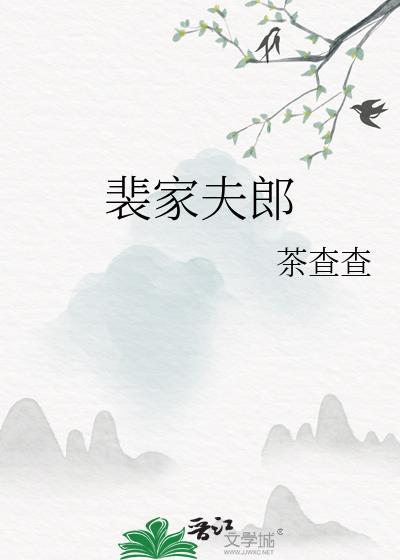 裴家夫郎晋江