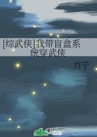 综武侠我带盲盒穿越武侠