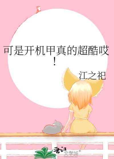 开机甲的动画片国产
