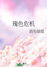 瑰色危机讲的什么