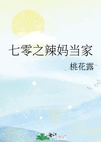 七零之辣妈当家讲的什么