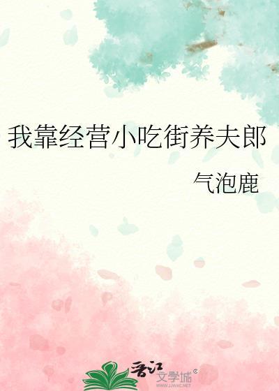 我靠经营小吃街养夫郎番外