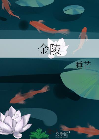 金陵长乐坊或将限流