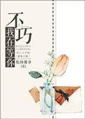 我在等你微微一笑很倾城台词