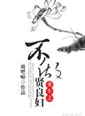 重生不做贤良妇讲的什么