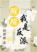 醒醒吧我是反派