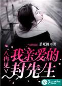 再见我最爱的封先生