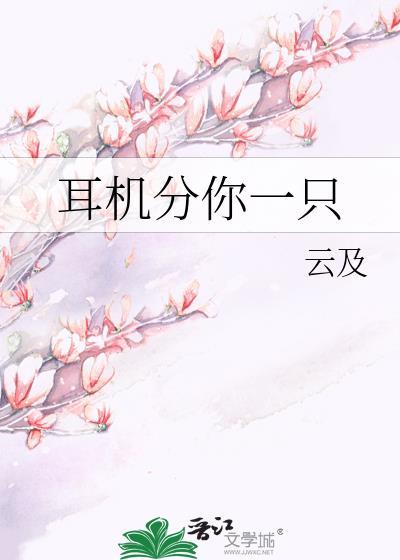 什么耳机
