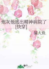 穿书炮灰他