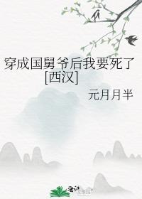 穿成国舅爷后我要死了西汉百度