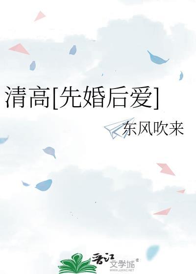 文笔好的先婚后爱高干文