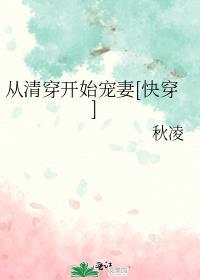从零开始清穿
