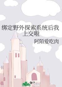 绑定野外探索系统后我上交啦哔哩哔哩