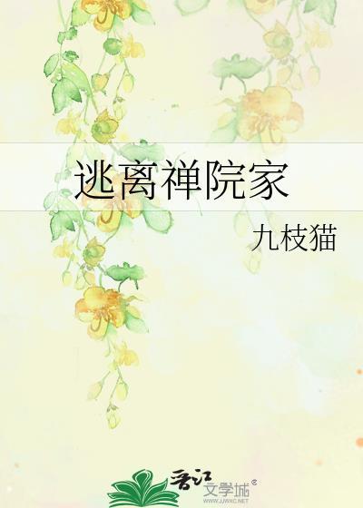 逃离禅院家讲的是什么故事