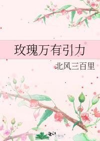 玫瑰引力免费阅读