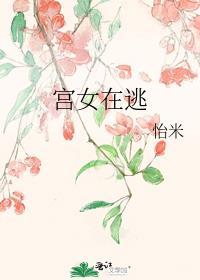 宫女出逃计47