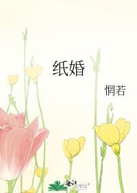 纸婚闻元安和于祲