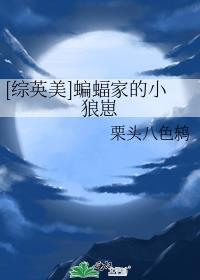 综英美蝙蝠家的小狼崽全文