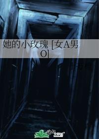 她的小玫瑰女a男o十万伏特橙薯条