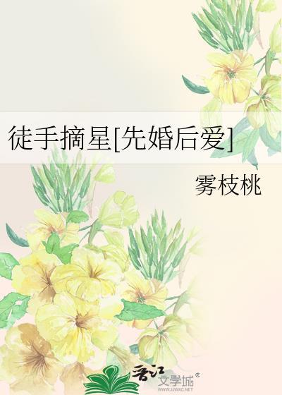 徒手摘星的下一句