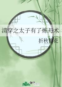 清穿之太子妃的彪悍日常晋江