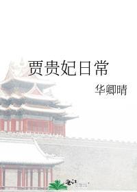 贾贵妃日常全文免费阅读