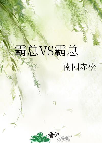 霸总什么意思