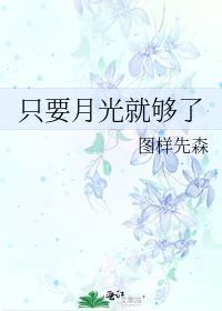 只要月光就够了英文