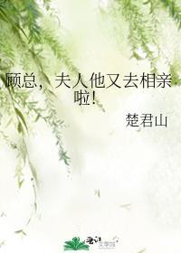 顾夫人又去兼职